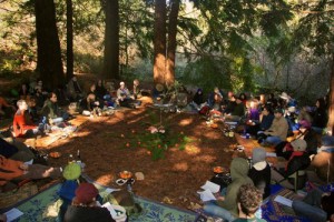 Tu Bishvat in the Redwoods with Wilderness Torah