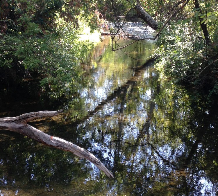 Being in the Flow