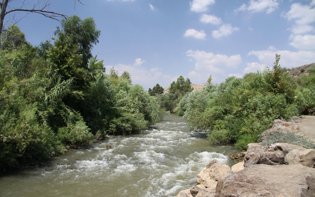 Flowing Water in the Psalms