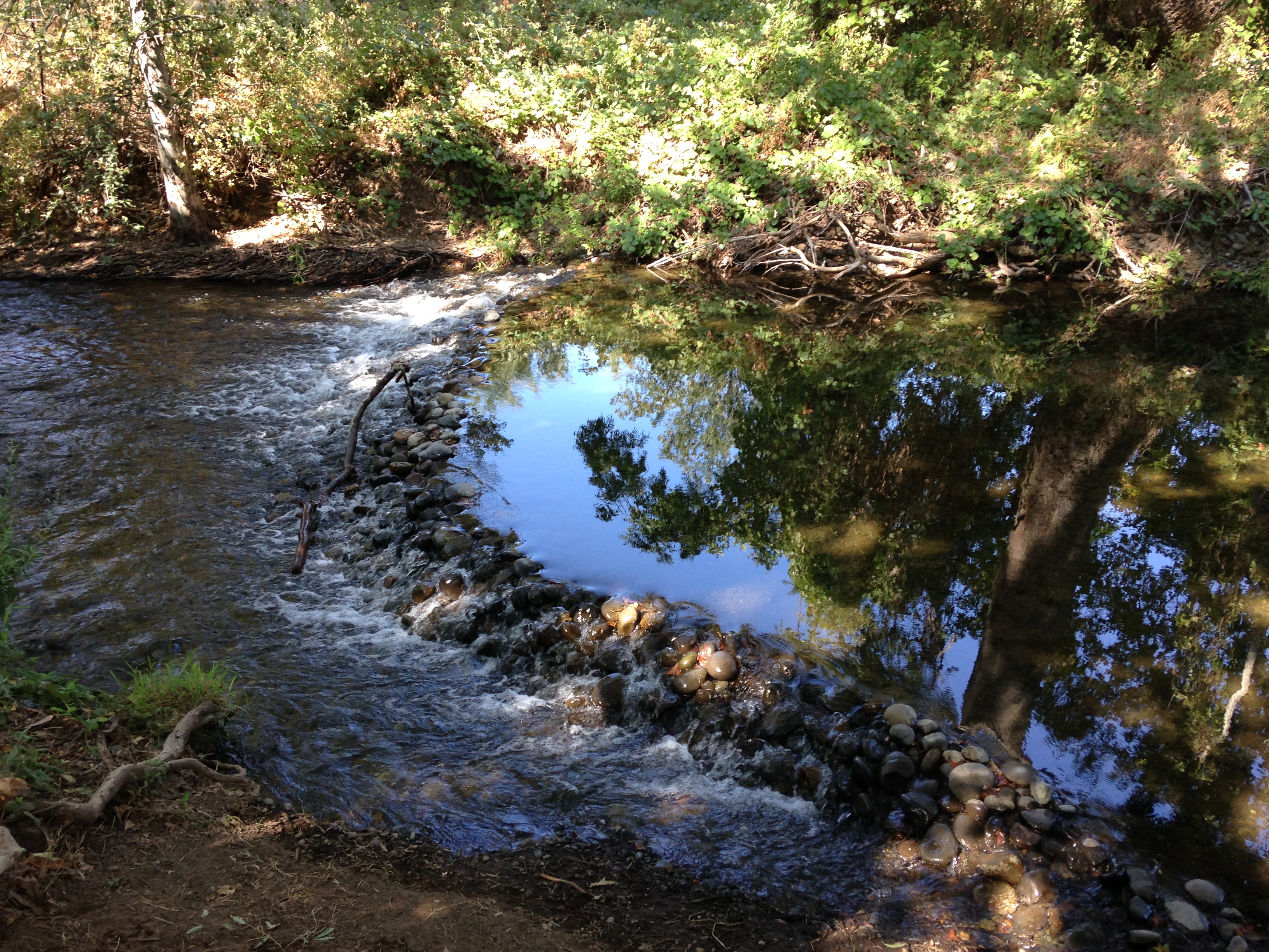 Big Chico Creek, Bidwell Park