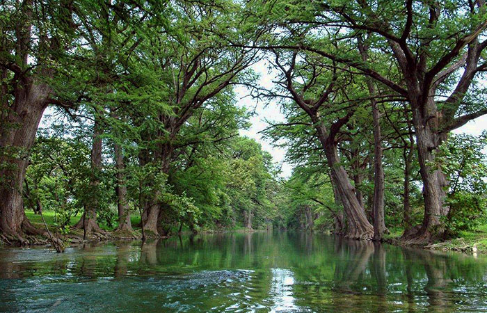 Sabinal River, Utopia, Texas
