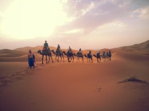 Caravan in Moroccan Sahara, Arielle Danan