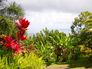 Garden of Eden, Maui, Yimmy149 via Flickr