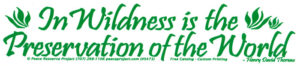 Wilderness quotation bumper sticker