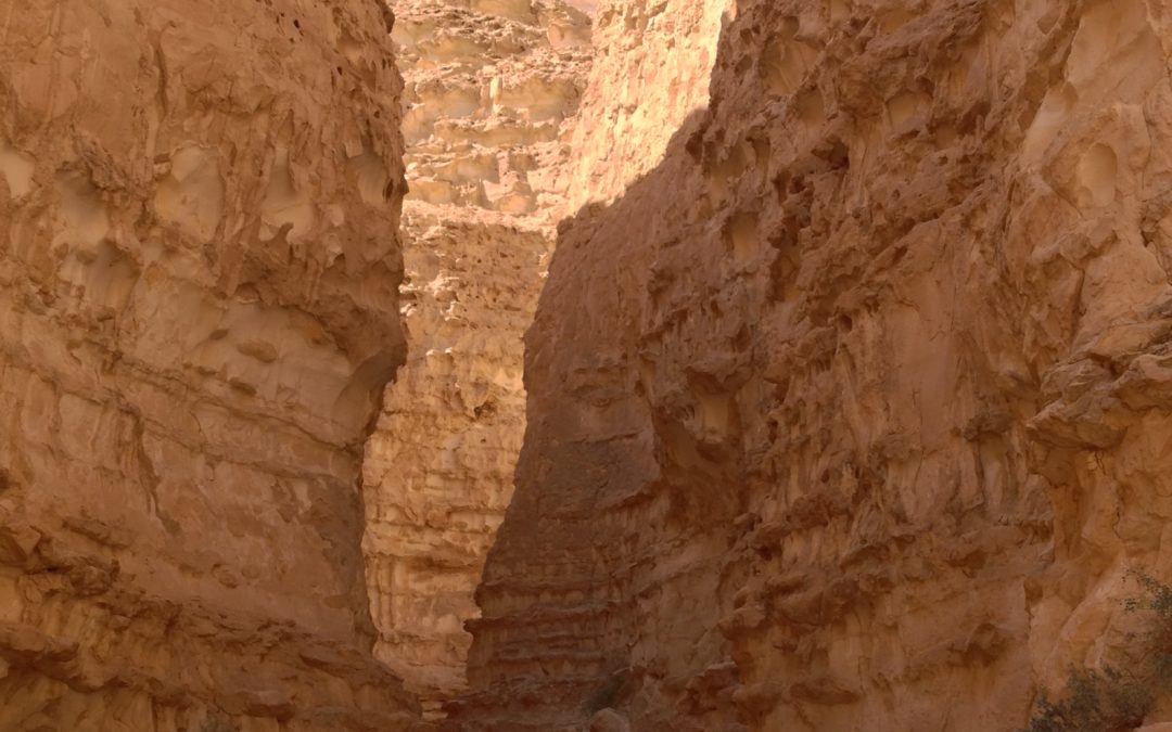 Negev Desert, Rabbi Barry Leff