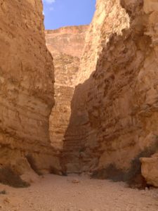 Negev Desert, Rabbi Barry Leff