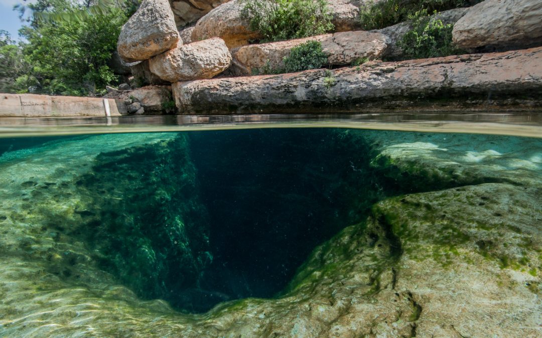 A deep water spring is viewed from both over and under the water