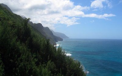 Ambiance: Windy Jungle in Kauai