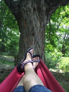 View from a Hammock in Mahopac, New York