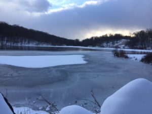 Winter