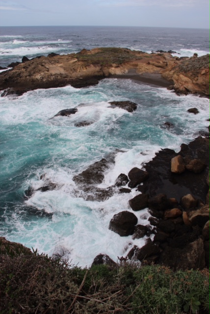 Point Lobos, California, Elisheva Danan