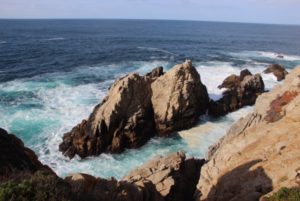 Point Lobos, California, Elisheva Danan