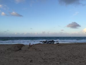 seashore in Puerto Rico
