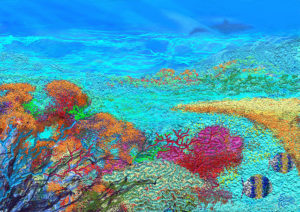 Coral, Simon Roberts