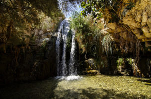 Ein Gedi, Boris Kasimov via Flickr