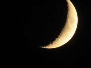 Waxing Crescent Moon, Niculina Archer