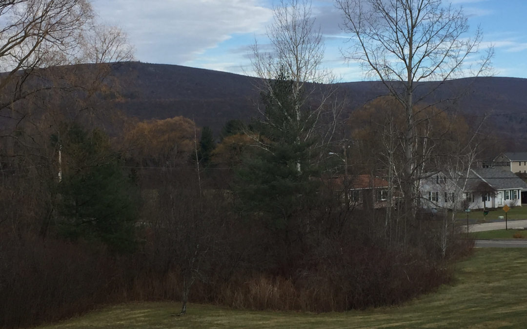 Berkshires in Late Fall, Rabbi Rachel Barenblat