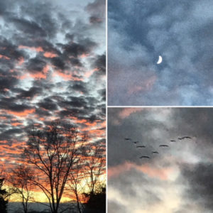 December Sunset, Moon and Geese, JHD