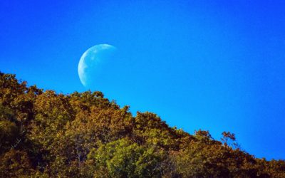Rosh Hodesh: Celebration of the New Moon