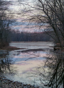 Winter Sunset, Rockefeller State Park Preserve, Julie Danan Winter Sunset, Rockefeller State Park Preserve, Julie Danan