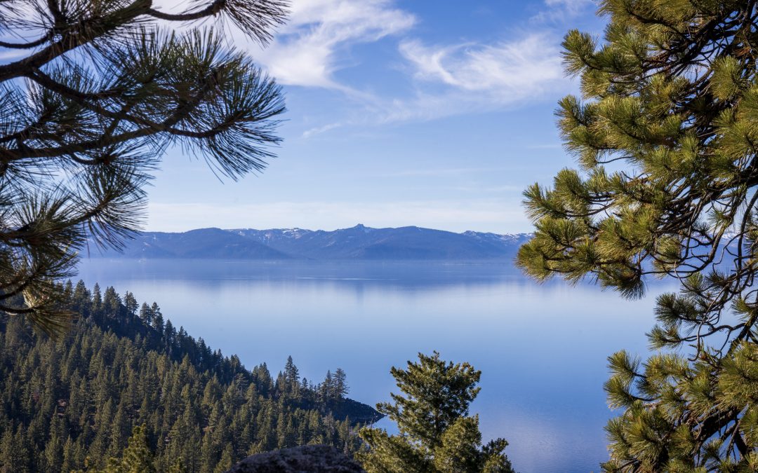 blue lake and distant hills with a frame of pine trees and wispy white clouds
