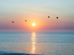 sunrise over the ocean with five pe